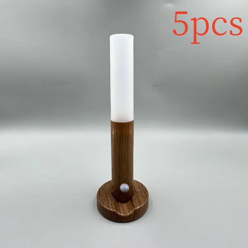 USB Charging Motion Sensor LED Night Light