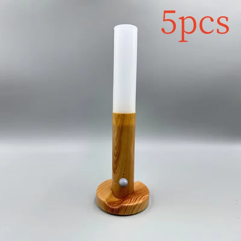 USB Charging Motion Sensor LED Night Light