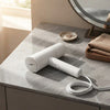 Portable Foldable Handheld Garment Steamer
