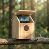 Smart WiFi Bird House Camera