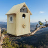 Smart WiFi Bird House Camera